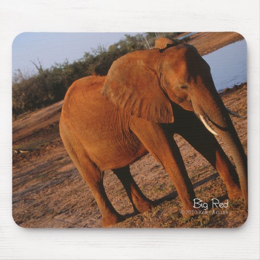 Big Red Muismat (Voorkant)