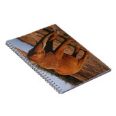 Big Red Notitieboek (Rechterzijde)