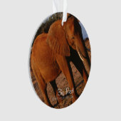 Big Red Ornament (voorkant)