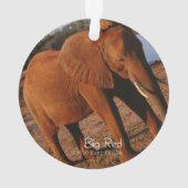 Big Red Ornament (achterkant)