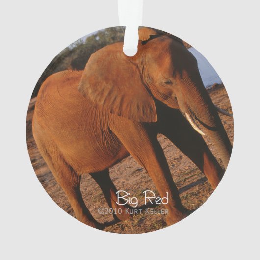 Big Red Ornament (achterkant)