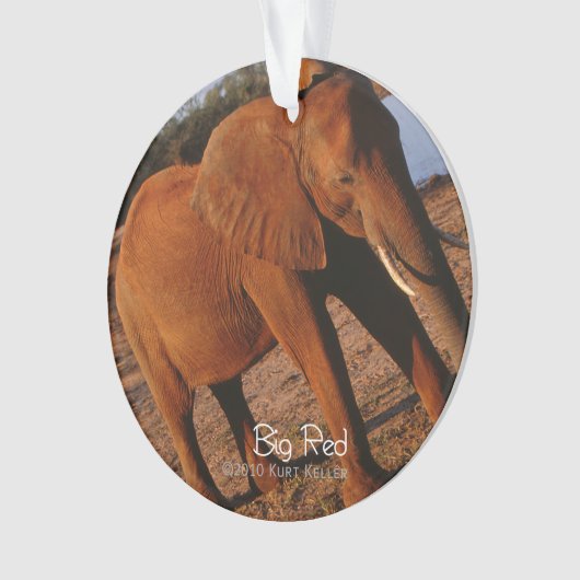 Big Red Ornament (voorkant)