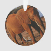 Big Red Ornament (voorkant)