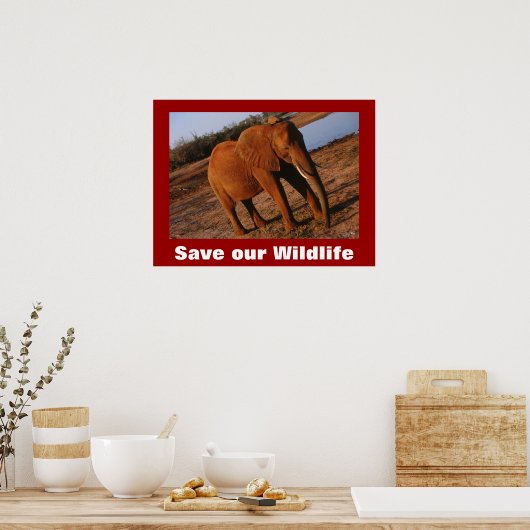 Big Red Photo Save Our Wildlife Poster (Keuken)