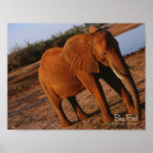 Big Red Poster (Voorkant)