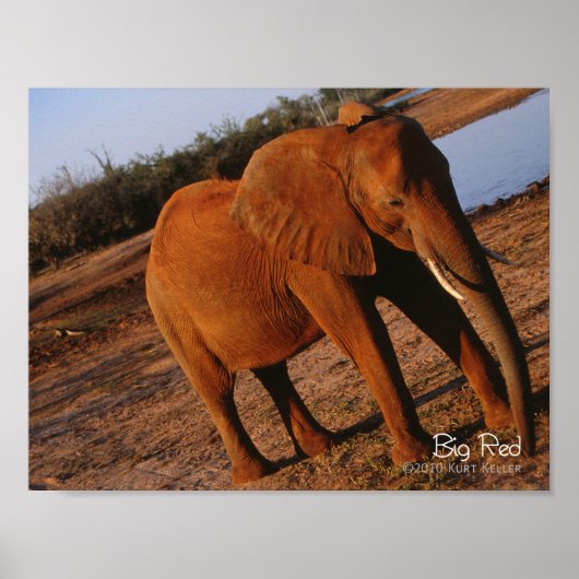 Big Red Poster (Voorkant)