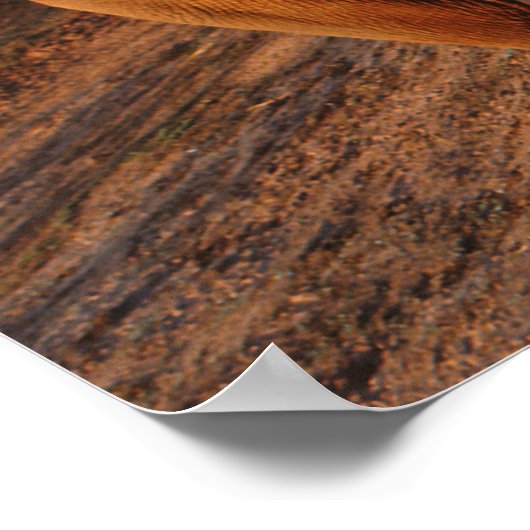 Big Red Poster (Hoek)