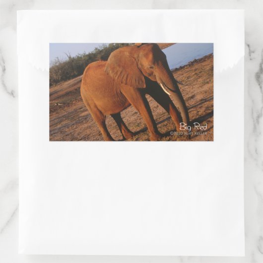 Big Red Rechthoekige Sticker (Tas)