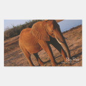 Big Red Rechthoekige Sticker (Voorkant)