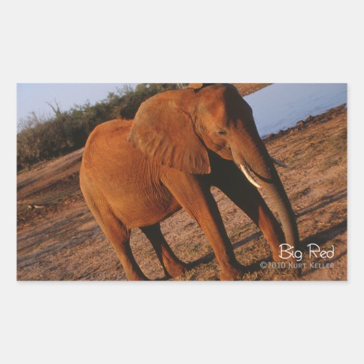 Big Red Rechthoekige Sticker (Voorkant)