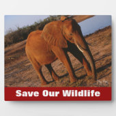 Big Red redt ons leven Fotoplaat (Voorkant)