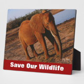 Big Red redt ons leven Fotoplaat (Zijkant)