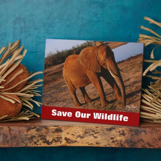 Big Red redt ons leven Fotoplaat (Zijkant)