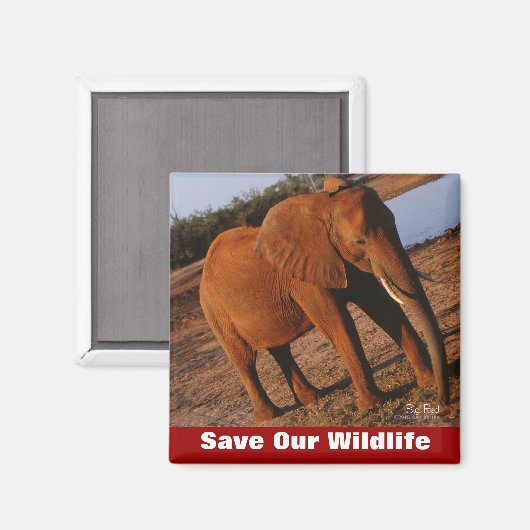 Big Red redt ons leven Magneet (Voorkant / Achterkant)