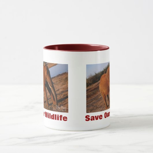 Big Red redt ons leven Mok (Midden)