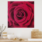 Big Red Rose Poster (Keuken)