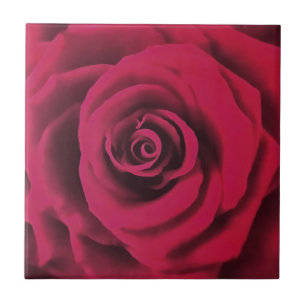 Big Red Rose Tegeltje