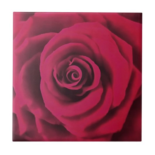 Big Red Rose Tegeltje (Voorkant)
