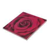 Big Red Rose Tegeltje (Zijkant)