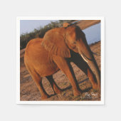 Big Red Servetten (Voorkant)