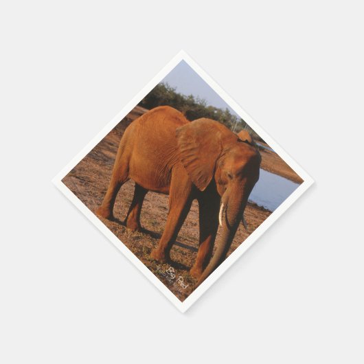 Big Red Servetten (Hoek)