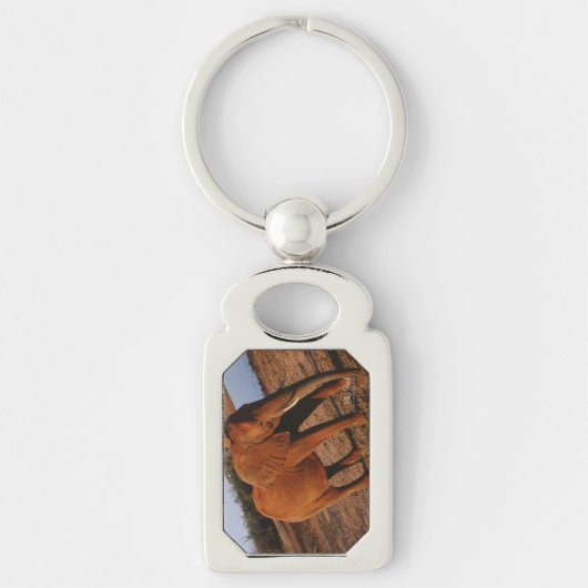 Big Red Sleutelhanger (Voorkant)