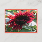 Big Red Sunflower Visitekaartje (Achterkant)