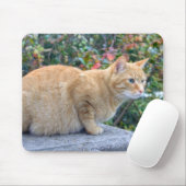 Big Red Tabby Muismat (Met muis)