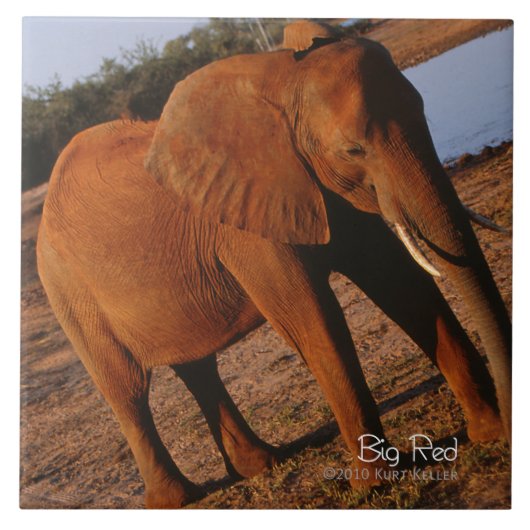 Big Red Tegeltje (Voorkant)