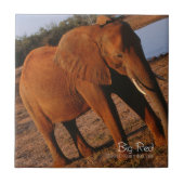 Big Red Tegeltje (Voorkant)