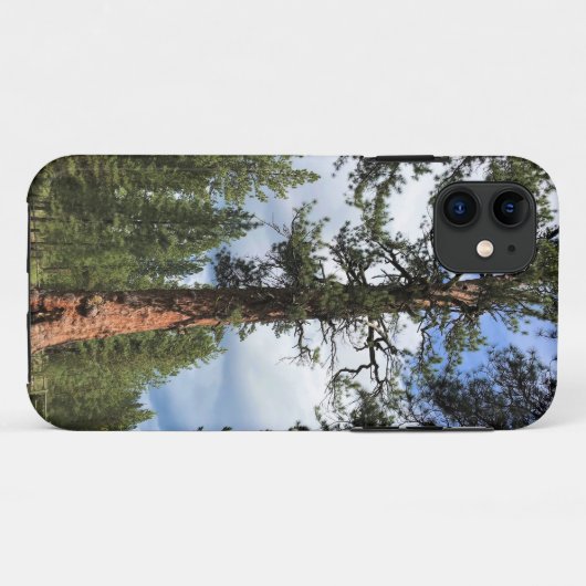 Big Red Tree, La Pine, OF Case-Mate iPhone Case (Achterkant (horizontaal))