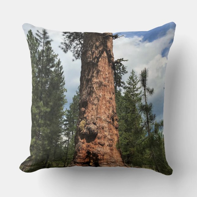 Big Red Tree, La Pine, OF Kussen (Voorkant)