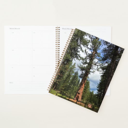 Big Red Tree, La Pine, OF Planner (Display)