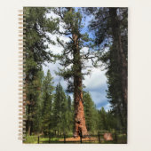 Big Red Tree, La Pine, OF Planner (Voorkant)