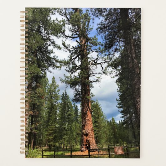 Big Red Tree, La Pine, OF Planner (Voorkant)