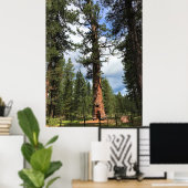 Big Red Tree, La Pine, OF Poster (Thuiskantoor)