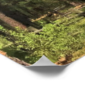 Big Red Tree, La Pine, OF Poster (Hoek)