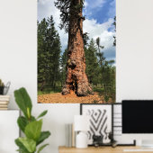 Big Red Tree, La Pine, OF Poster (Thuiskantoor)