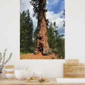 Big Red Tree, La Pine, OF Poster (Keuken)