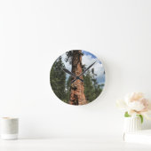 Big Red Tree, La Pine, OF Ronde Klok (Huis)