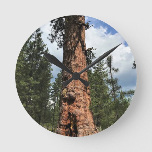 Big Red Tree, La Pine, OF Ronde Klok (Voorkant)