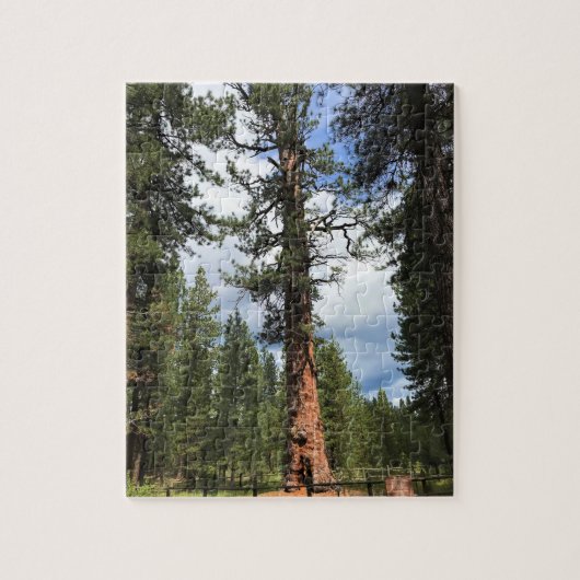 Big Red Tree, La Pine, Oregon Legpuzzel (Verticaal)