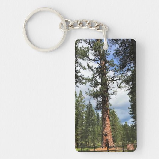 Big Red Tree, La Pine, Oregon Sleutelhanger (Voorkant)
