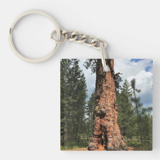 Big Red Tree, La Pine, Oregon Sleutelhanger (voorkant)