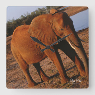 Big Red Vierkante Klok