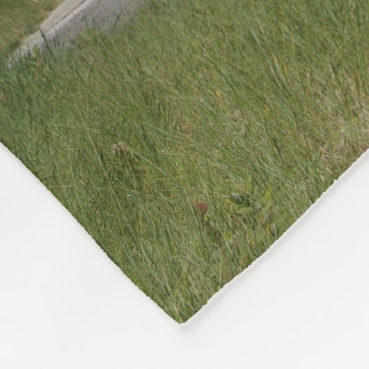 Big Sable Point Lighthouse fleece deken (Hoek)