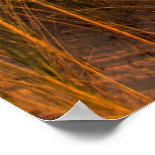 Big Sable Point Lighthouse On Lake Michigan 3 Poster (Hoek)