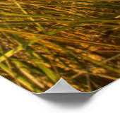 Big Sable Point Lighthouse op Lake Michigan Poster (Hoek)