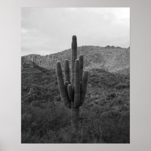 Big Saguaro Cactus in Arizona, 16x20 Poster