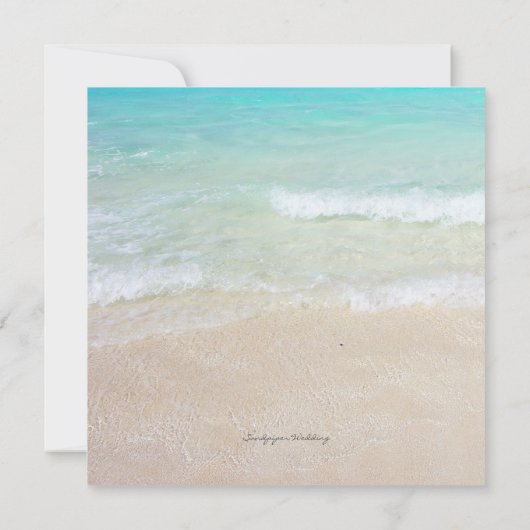 Big Sand Dollar Seaside Vow Renewal Kaart (Achterkant)